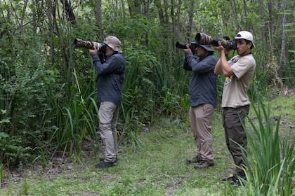 Proyecto Pantano realiza los workshops fotográficos en los predios productivos como actividad de capacitación y sensibilización, así como también actividades educativas en escuelas de la isla
