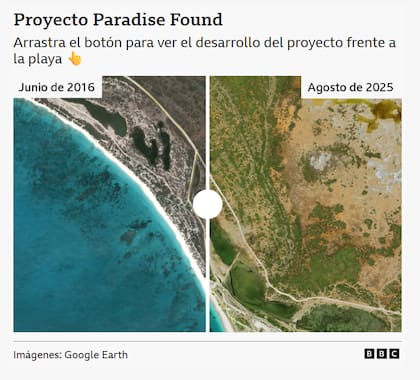 Proyecto Paradise Found