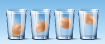 Prueba de flotabilidad para determinar el estado de los huevos frescos