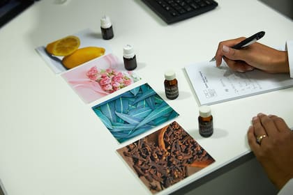 Pruebas sensoriales con distintas esencias aromáticas ilustran la diversidad de estímulos que el sistema olfativo debe organizar y procesar