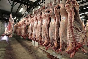 ptc _El frigorifico Yaguane, aun con destino incierto
planta faenadora de Gonzalez Catan
carne de vaca
_7_05_201