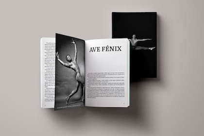 Publicado por India ediciones, la autora se ocupa directamente de la distribución del libro a través de su cuenta de Instagram @dulcinea_craneapolis