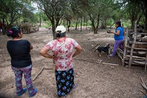 Pueblos originarios en extinción: producto del aumento de la violencia