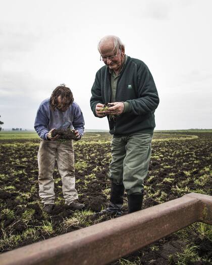 Puede dejar descansar hasta cinco años la tierra.