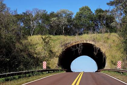 Puente en la ruta 101 camino a San Antonio, Misiones
