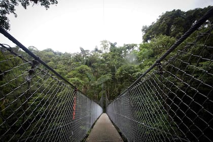 Puentes Colgantes del Arenal , en el distrito de La Fortuna de san Carlos, provincia de Alajuela