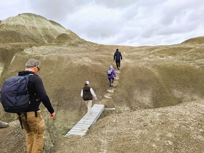 Puentes y escalones que facilitan el recorrido y deben restablecerse en cada primavera, luego que el sitio queda cubierto de nieve