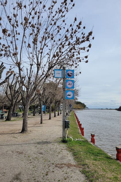 Puerto de yates de Carmelo