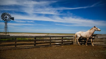 Puerto Pirámides. 3/10/17