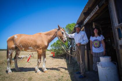 La pulpería es la única costera de la provincia de Buenos Aires, acaso de todo el país