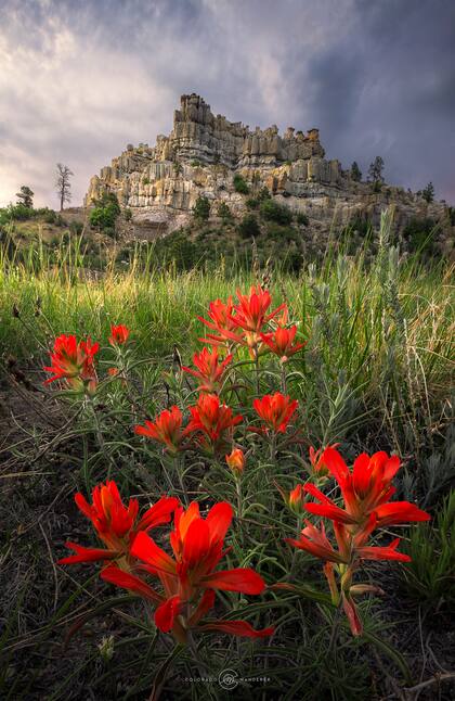 Pulpit Rock, Colorado Springs