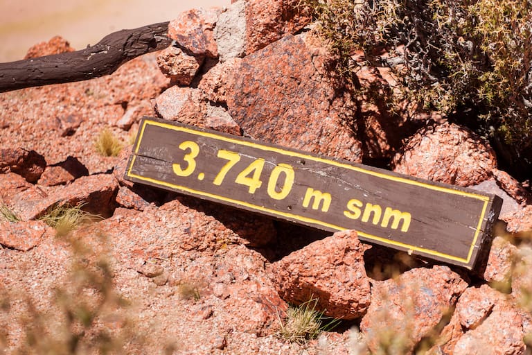 El Llano de los Leones desde un mirador a 3740 metros de altura, en el P.N. San Guillermo. Un zorro colorado se acerca con distancia prudencial durante un alto en el camino. Fotos: Xavier Martín.