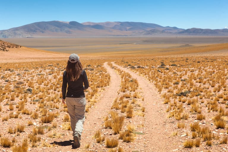 La puna dorada de coirones, una postal recurrente de este viaje. Foto: Xavier Martín.