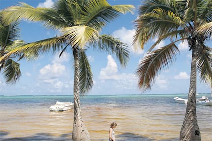 American Airlines suma vuelos al Caribe