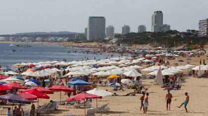 Playa Mansa, en Punta del Este