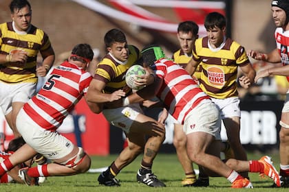 Puntero contra campeón: Belgrano recibirá a Alumni en un clásico del rugby de Buenos Aires, por el Top 12.