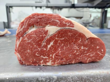 Puntualizó que los avances en genética permitieron identificar marcadores moleculares asociados a la terneza, como calpastatina y calpaínas, herramientas que hoy están disponibles para que los productores mejoren sus rodeos con selección orientada a calidad de carne