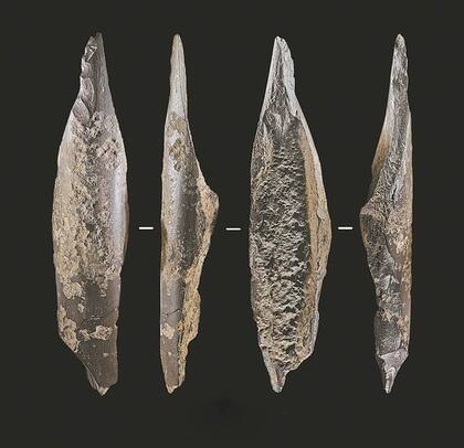 Punzones hechos de hueso