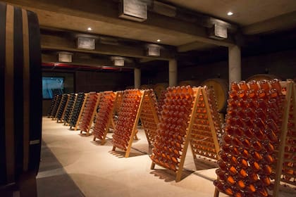 Pupitres en Bodega Garzón.