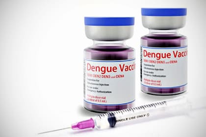 Qdenga, la vacuna disponible contra el dengue, de laboratorio Takeda