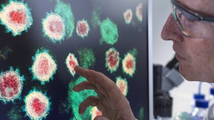 Quammen llama la atención sobre la importnacia de apoyar la investigación cinetífica.