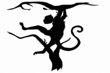 ¿Qué animal ves primero?