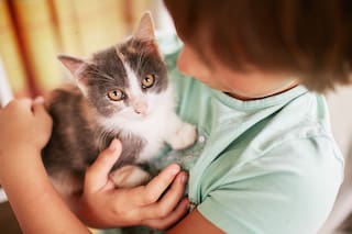 La psicología explica qué revela sobre tu personalidad acariciar a los gatos