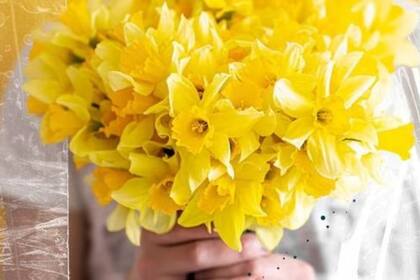 ¿Qué día de septiembre se regalan flores amarillas y por qué?