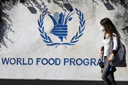 La sede del PMA está ubicada en Roma y Alberto Fernández la visitó este año