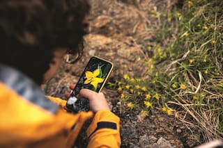 4 aplicaciones con las que podés contribuir al conocimiento científico y cuidar el medioambiente