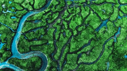 Qué es la hipótesis de Gaia y cómo nos ayudó a comprender que la Tierra "está viva"