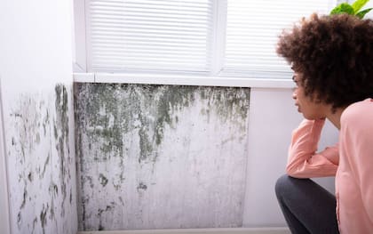 Qué es la humedad por capilaridad