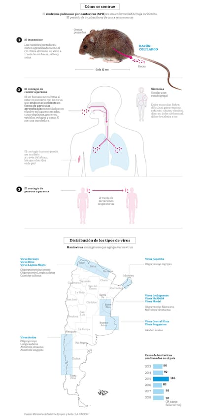 Qué hay que saber sobre el virus hanta