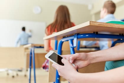 "Que haya un alumno de 6° grado que no solo tenga ese material sino que lo comparta, nos alerta, en primer lugar, que para tener acceso tuvo que ser cooptado por un adulto, que dispone de esas imágenes y que se las está compartiendo", advierte Ongini.