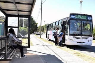 Estas son las líneas de colectivo que están de paro hoy, martes 11 de noviembre