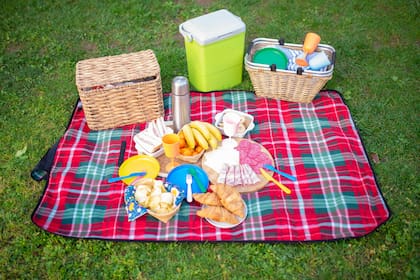 Qué llevar al picnic a la naturaleza en familia