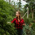 Huerta en casa: las verduras que deberías plantar en otoño