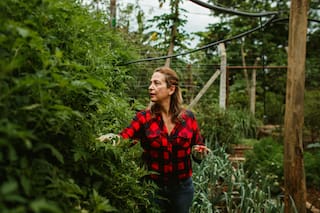 Huerta en casa: las verduras que deberías plantar en otoño