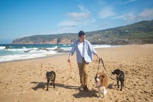 Qué precauciones tenés que tomar antes de llevar a tu perro a la playa este verano