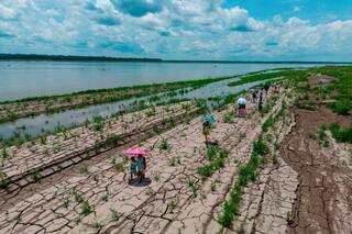 Qué saber sobre los pronósticos de que el fenómeno de El Niño de este año podría batir récords