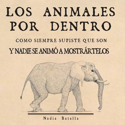 ¿Qué se esconde adentro de un elefante?