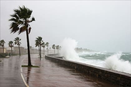 Qué se espera para la temporada de huracanes en Florida