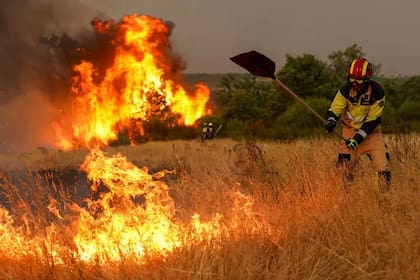 Los combatientes de incendios luchaban en España por extinguir varios incendios forestales en el centro del país.