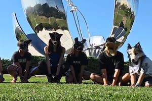 Ladran y corren en cuatro patas: qué son los therian, el fenómento mundial que genera polémica