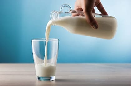 ¿Qué sucede en el cuerpo si consumes mucha leche a diario, según Harvard?
