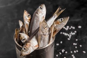 Qué tan saludables son las sardinas en lata, según Harvard