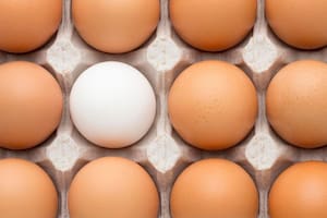 ¿Hay que lavar los huevos antes de guardarlos? La opinión de los expertos