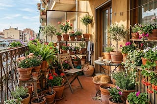 Adiós a las macetas tradicionales: la nueva forma de decorar balcones que es furor este año