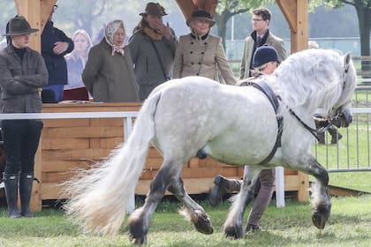 La reina Isabel, en un show de caballos en Windsor, en 2019. Credit: John Rainford/WENN