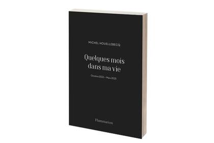 "Quelques mois dans ma vie", de Michel Houellebecq, salió hoy en Francia 